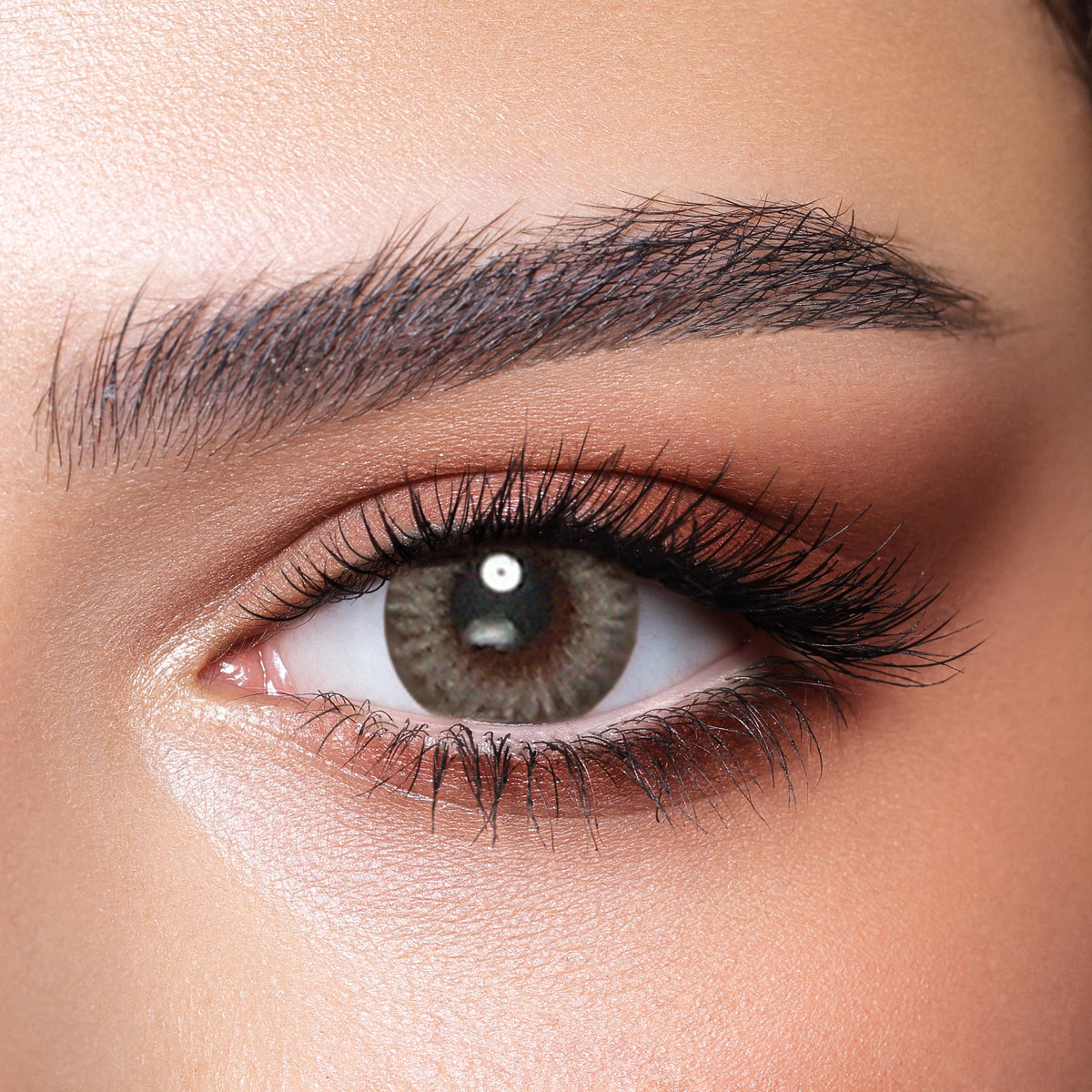 BELLA CONTACT LENSES PLATINUM GREY