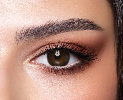 BELLA CONTACT LENSES CEDAR