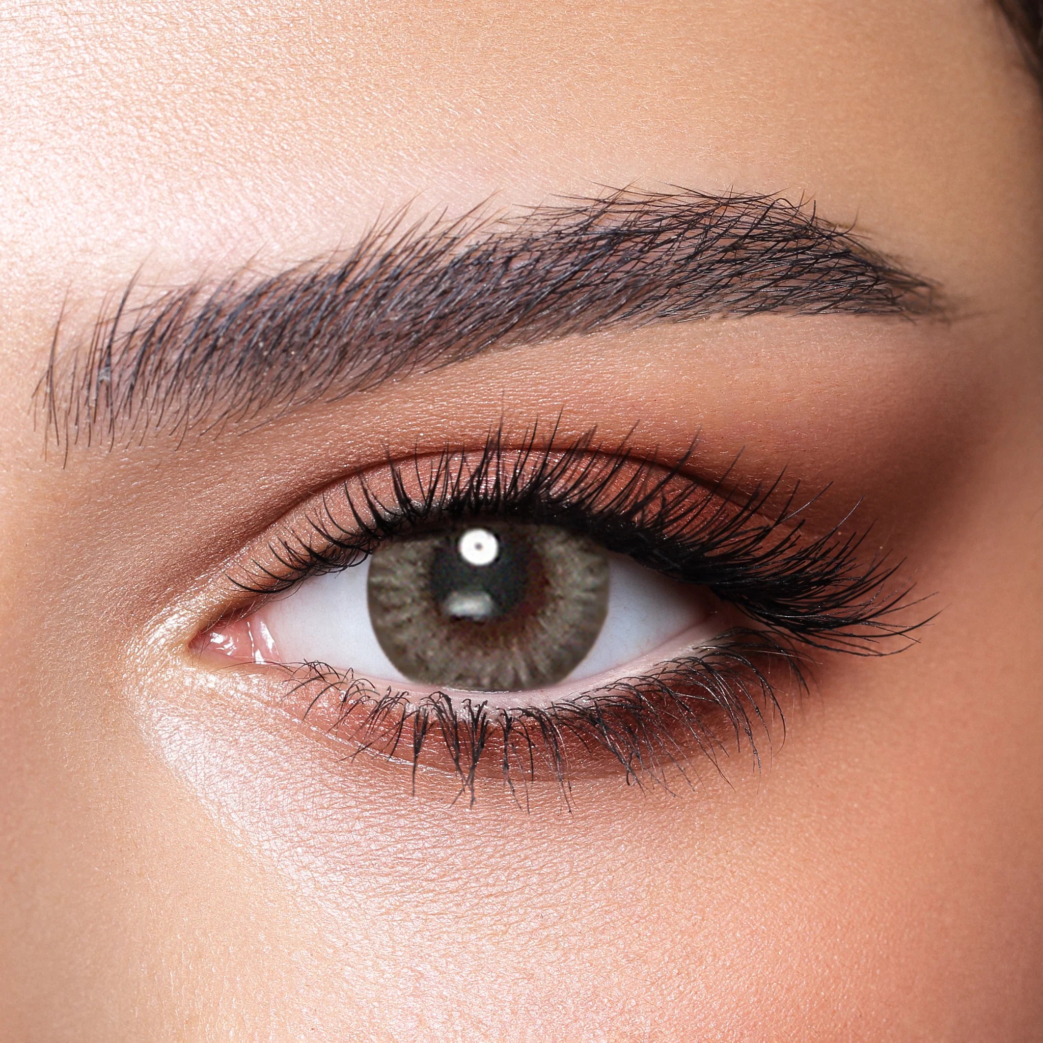 BELLA CONTACT LENSES PLATINUM GREY