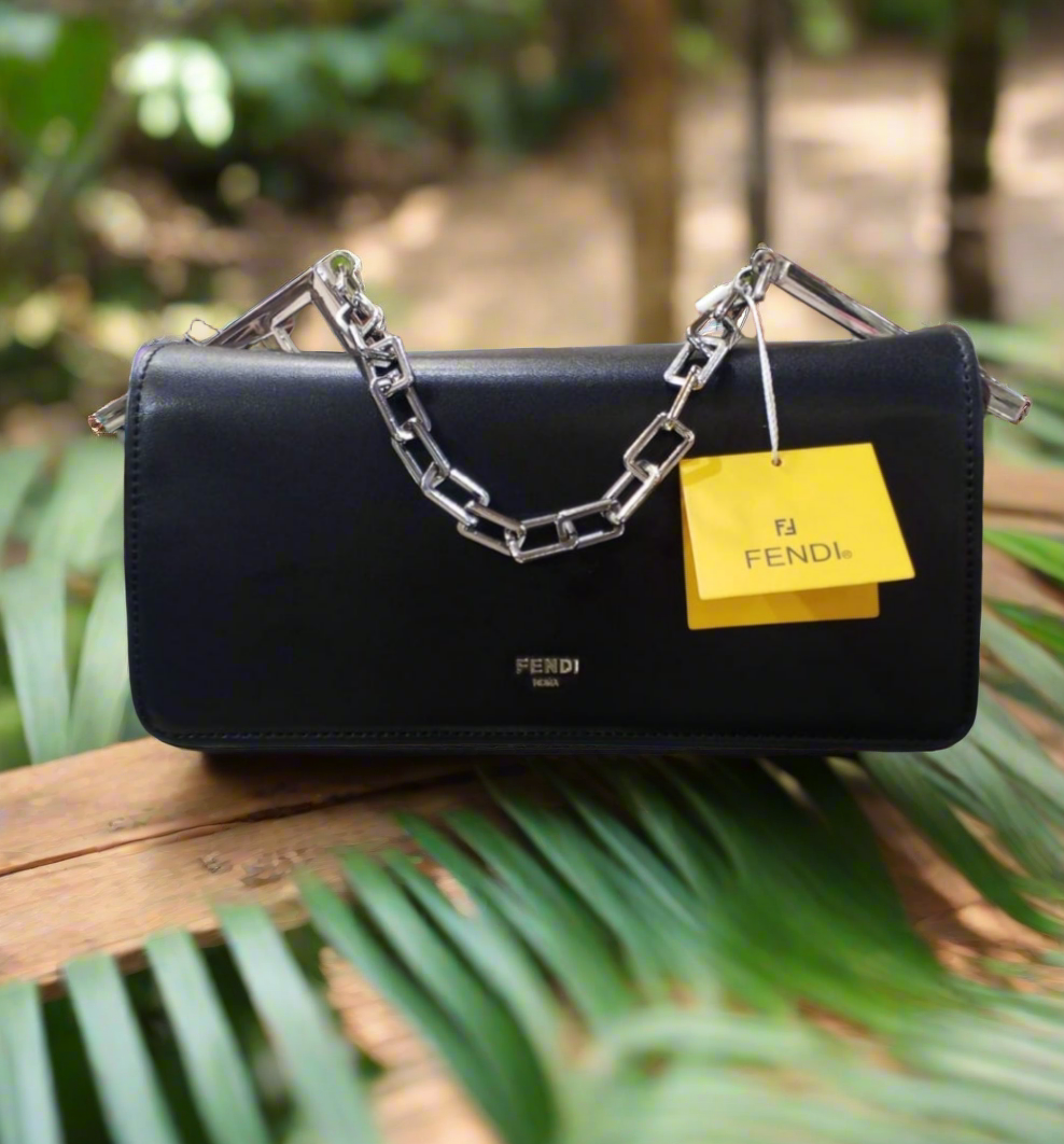 Fendi lnspired Luxe Mini Shoulder Bag in Smooth Leather with Silver Chain SA jewellery pk